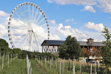 Riesenrad City Star