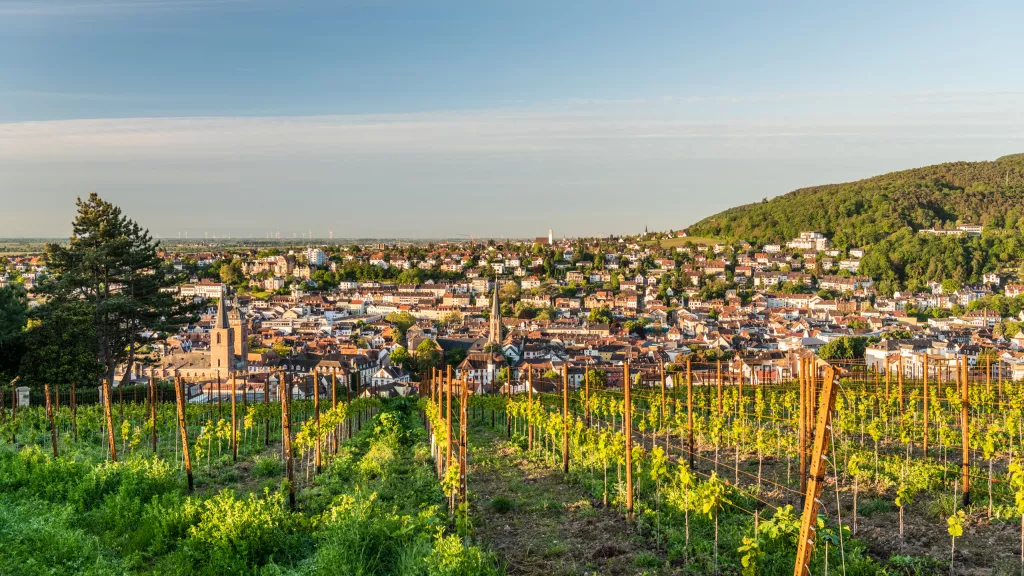 Blick über Neustadt an der Weinstraße