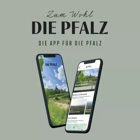 Zum Wohl die Pfalz - App